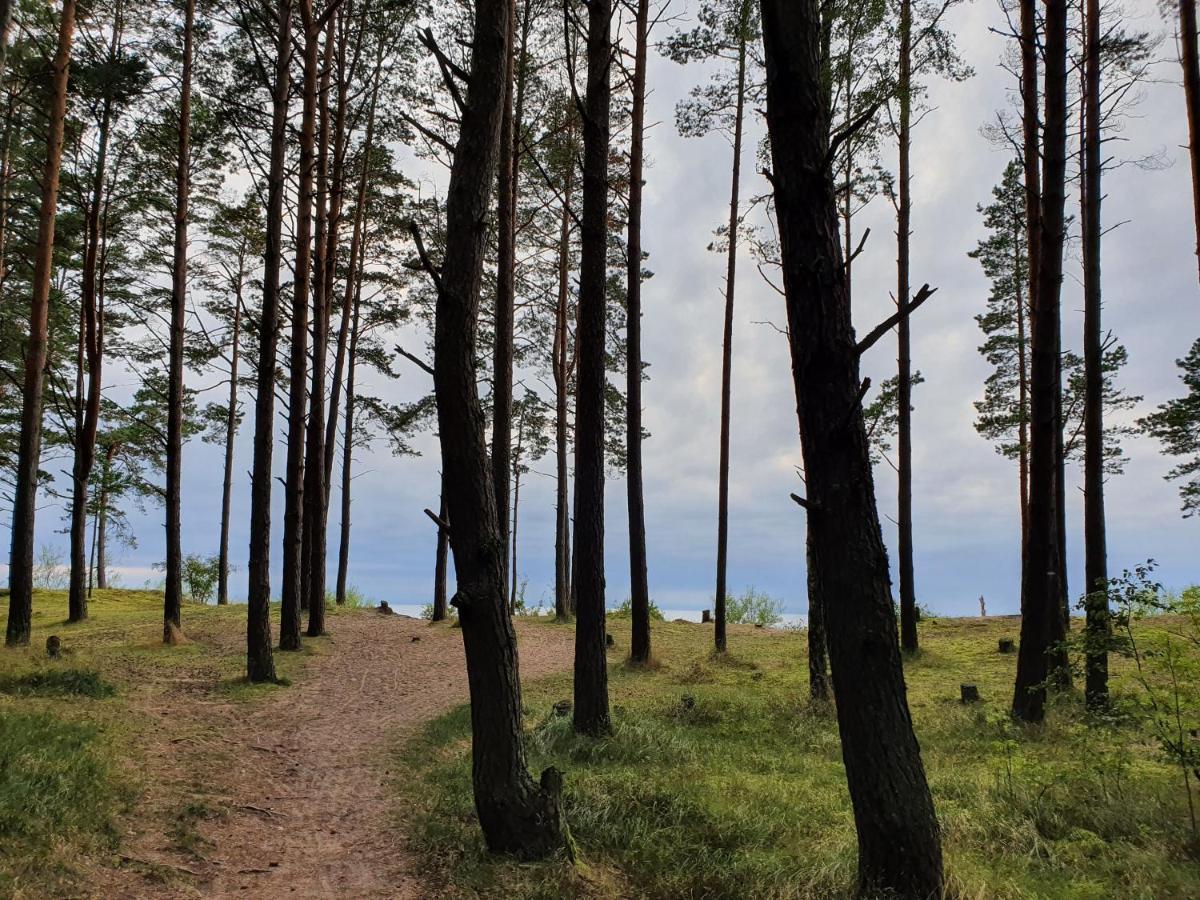 Atpuuta Saulkrasti
